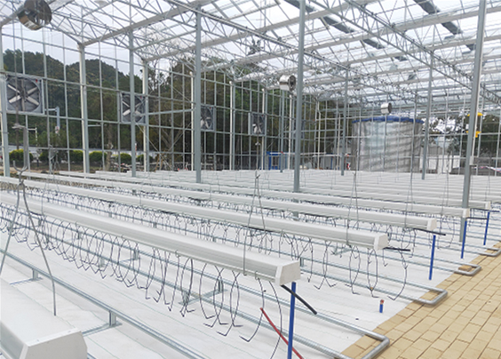 番茄等茄果類栽培槽種植系統(tǒng)