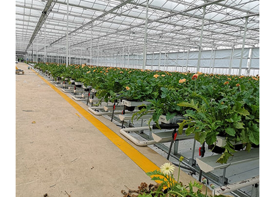  鮮切栽培槽種植系統(tǒng)